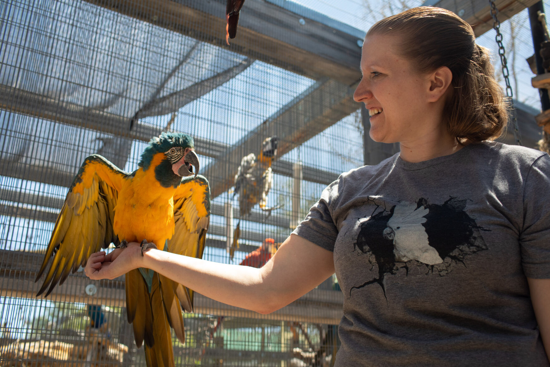 080622-feat-parrot 5.jpg